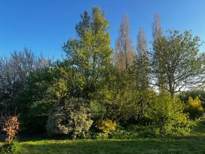 Maisons de vacances Le Moulin de la Fosse Soucy Les bords de l-Aure : photos des chambres