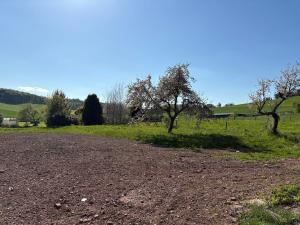 Appartement Löwenzahn