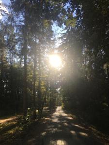 Pieprz i WANILIA Kopalino domek z widokiem na las 3 pokoje parking taras WiFi - Wanilia