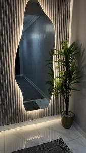 استديو انيق بمدخل خاص