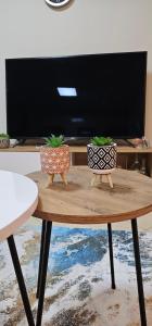 Bright Central Apartment