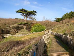 B&B / Chambres d'hotes LE CLOS DE LA HOURSERIE : photos des chambres