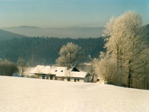 Geraeumige Wohnung für 5 Personen in Drachselsried