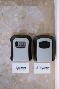 Anima Downtown Apartment