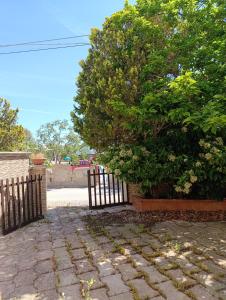 Villa tra le dune di Campomarino