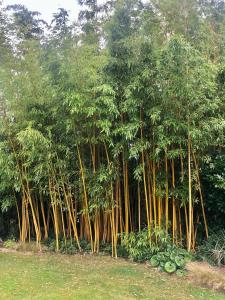 B&B / Chambres d'hotes LE CLOS DE LA HOURSERIE : photos des chambres