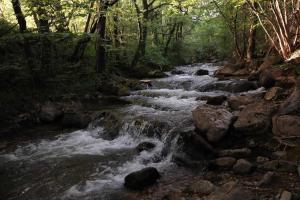 mobile house on a herbs farm