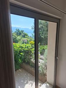 Acacia Hill olive tree apartment