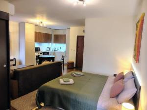 Great view studio Pirin Palace