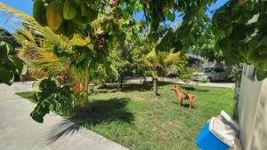 Casa de Campo São Lázaro