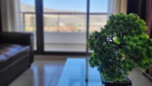 Característico departamento 2 habitaciones, capacidad 4 y 5 personas, excelente vista de la ciudad y mar