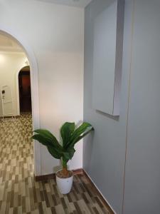 نزل البركه