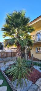 Appartements Appartement ensoleille Perols : photos des chambres