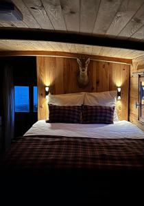 Toue cabanée romantique - Vue Maine et Château - Centre Angers