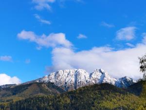 Domki TATRA HOMES z jacuzzi