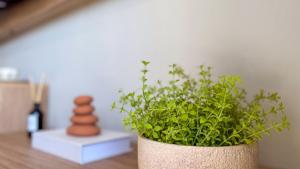 Studio Premium! Piscina, Lazer e Metrô a 3 Minutos