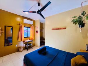 Palmar la Punta 22 AC Starlink 2min walk to beach