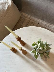 Modern and Luxury Villa with 2 private pools in Tulum