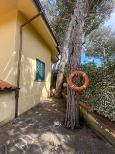 Appartamento Loft con 2 Camere da Letto