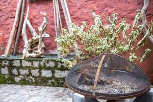 Maisons de vacances Le Petit Versailles : photos des chambres