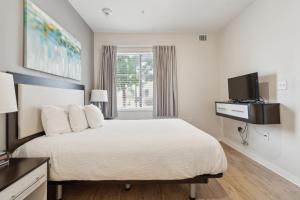 Simplicity 1103 I Spacious 1bd1bth Apartment