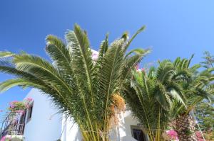 Asteri Hotel Patmos Greece