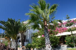 Asteri Hotel Patmos Greece