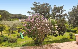 Nice Home In Cordoba With Private Swimming Pool, Can Be Inside Or Outside