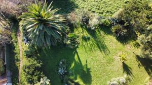 Villas VILLA TY EDEN - standing- dans JARDIN EXOTIQUE prive, PLAGE a 200m : photos des chambres