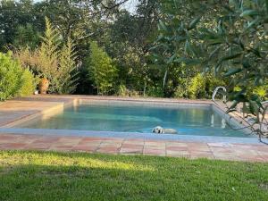 Villas Le Petit Domaine : photos des chambres