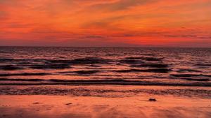 Pet Friendly And Steps To The Bay