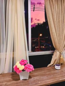 Digital nomads, everything close Ac Wi-fi fast