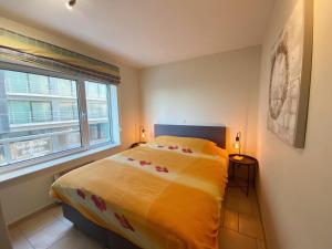 Apartment in Nieuwpoort with Sea Views