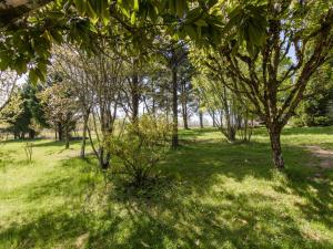 Maisons de vacances Lovely cottage in Peyzac-le-Moustier with Terrace : photos des chambres