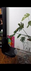 Apartamento de 3 Habitaciones en el Centro