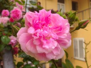 B&B Maison Rosetta IUN-E4948 img43