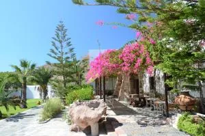 Ξενοδοχείο Αστέρι (Asteri Hotel)