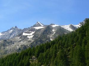 Chalet in Saas Grund amid mountains