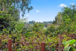 Wattle Cottage - A Stylish Hinterland Escape