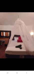 Why Not Bar And Bungalows #03