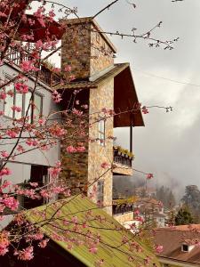 Sapa Pine Hill Eco Lodge