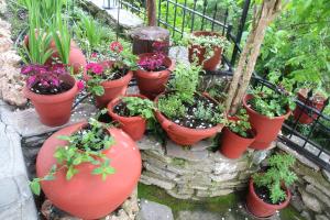 Katoikia me ta Pitharia