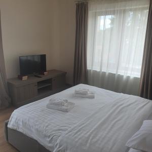 Bloom Apartament