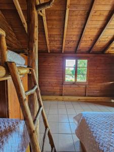 Grand Saint Bernard Juayúa