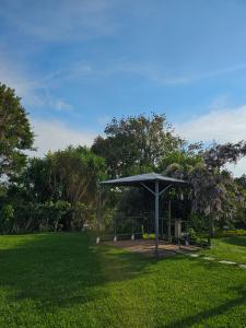 Grand Saint Bernard Juayúa