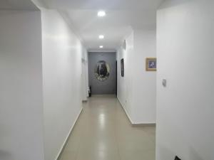 Exotic Penthouse with Airport view