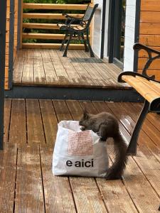 Panoramic Kub Sucevita