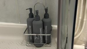 Bel appartement proche gare