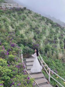 Sunset Cloud Tà Xùa