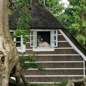 Historic House By The Baltic Sea On Falster